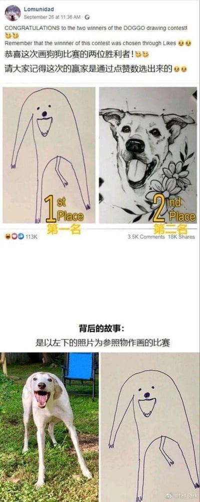 这是一组由社交媒体通知截图、手绘作品图和真实狗狗照片拼接而成的趣味梗图。顶部是海外社交账号Lomunidad发布的画狗比赛结果，宣布通过点赞数选出的冠亚军作品：第一名是一幅线条极简、造型抽象的简笔画狗，第二名是一幅细节丰富、画风写实的手绘狗，两者画风差距巨大。下方“背后的故事”板块揭晓了比赛的参考原图——一只站在草地上的白狗，它因奇特的肢体姿势形成了视觉错位，看起来像是只有两只长胳膊和一条短腿，而第一名的抽象简笔画完美复刻了这种视觉错位效果，比写实作品更贴合原型，这种“神还原”的反差感制造了强烈的搞笑效果，让抽象画的夺冠显得合情合理。