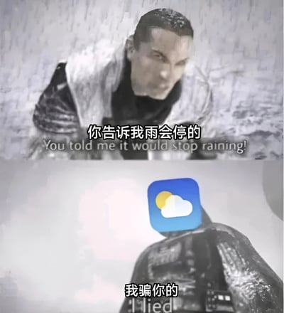 这是一张双面板的搞笑梗图，上方是一名愤怒的男子质问："你告诉我雨会停的"，下方则是一个天气应用图标回应："我骗你的"。图片通过电影/电视剧的严肃场景与幽默文字的结合，调侃了天气预报不准确的常见现象。