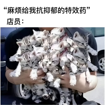 这张梗图上方有文字"麻烦给我抗抑郁的特效药 店员："，下方是一张经过PS处理的图片，显示一个人手中捧着大量小猫，通过幽默的方式暗示小猫是治疗抑郁的"特效药"。