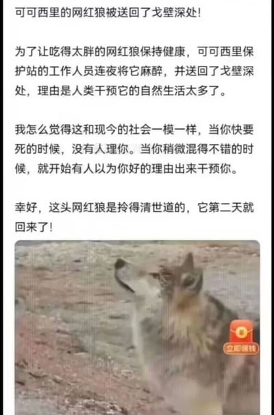 暂无描述