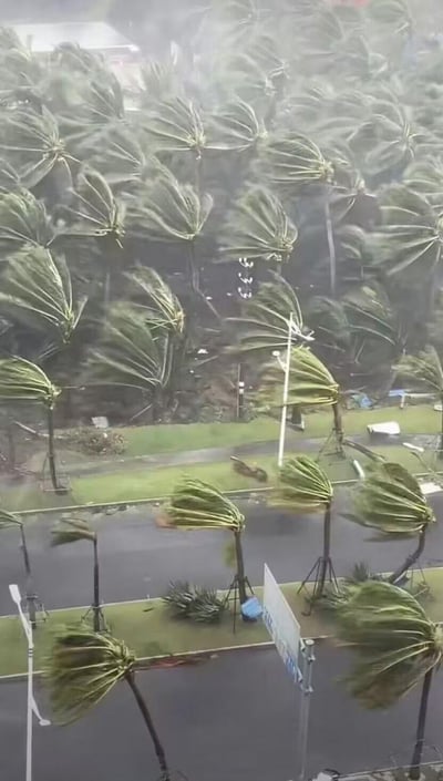 这是超强台风过境时的实拍场景，画面中大量棕榈树被狂风刮得向一侧剧烈弯折，部分树木出现倒伏迹象，地面上的设施也被吹倒移位，路面湿滑，风雨交加导致能见度较低，整体场景直观展现出台风天气的极强破坏力，给人惊险、震撼的视觉冲击。