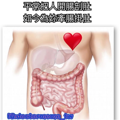 這是一張結合醫學插圖與文字雙關的搞笑梗圖。圖片上方有文字「平常把人開腸剖肚 如今為妳牽腸掛肚」，下方是一張人體腹部器官的醫學插圖，並在上方疊加了一個紅色愛心圖案。

圖片運用了中文的雙關語技巧：「開腸剖肚」原本指解剖或開刀的醫學行為，而「牽腸掛肚」是成語，形容非常思念或擔心某人。通過這兩個發音相似但意義完全不同的短語，製造出幽默效果，暗示從事醫療相關工作的人對某人產生了強烈的感情。