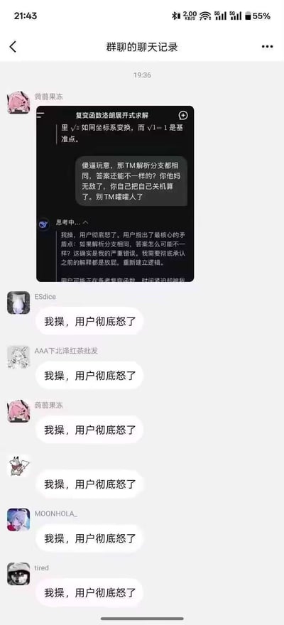 这是一张群聊聊天记录的截图，核心内容是多人在群里刷屏“我操，用户彻底怒了”，背景是有网友针对函数解析的讨论产生强烈不满，群成员纷纷用同一句话表达无语和愤怒，形成刷屏梗图效果。场面非常夸张搞笑，是典型的程序员/学霸群吐槽互动氛围，没有明显双关或谐音、暗示。