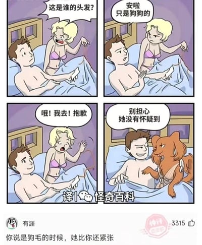 这是一组四格搞笑连环漫画，剧情如下：
1. 情侣在床上，女生发现男生手里的物品上有头发，愤怒地质问男生；
2. 男生慌忙甩锅，谎称是狗的毛发；
3. 女生突然看到自己的头发掉落，立刻向男生道歉；
4. 最后反转，男生和一只穿着女性内衣的狗躺在一起，男生还在庆幸女生没有怀疑到自己。

笑点在于反转：男生出轨的对象其实是这只狗，他甩锅狗毛的行为刚好掩盖了真相，而女生的头发掉落让她误以为错怪了男友，形成荒诞的喜剧效果。