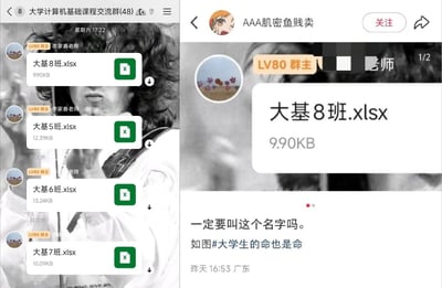这是一张左右拼接的社交媒体截图，左半部分是「大学计算机基础课程交流群」的聊天界面截图，群LV80群主李家春老师连续发送了四个以班级命名的Excel文件，文件名分别为大基8班.xlsx、大基5班.xlsx、大基6班.xlsx、大基7班.xlsx，其中“大基8班”谐音不雅，容易产生歧义；右半部分是社交平台用户“AAA肌密鱼贱卖”发布的内容截图，用户放出该文件的截图，配文吐槽“一定要叫这个名字吗。如图#大学生的命也是命”，调侃该文件名谐音带来的尴尬效果，引发网友共鸣。