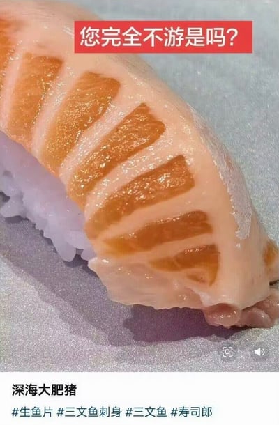 这是一张经过P图改编的美食梗图，主体是一个三文鱼寿司，但鱼肉部分的纹理被修改成了类似五花肉的样子，顶部用红色背景白字标注“您完全不游是吗？”，底部配有文字“深海大肥猪”以及话题标签#生鱼片 #三文鱼刺身 #三文鱼 #寿司郎。
图中的梗点在于：三文鱼作为海鱼，本该通过游动消耗脂肪，而这个“三文鱼”的脂肪纹理像极了猪肉，调侃它脂肪含量过高，像“深海大肥猪”一样没游过泳，用视觉反差和调侃话术制造搞笑效果。