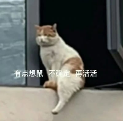 这是一张实拍的橘白猫咪表情包，猫咪瘫坐在窗台边缘，身体歪斜，眼神萎靡，呈现出一种生无可恋、疲惫不堪的状态。图片配文“有点想鼠 不确定 再活活”，用谐音梗“想鼠”代替“想死”，生动地表达了当代人在面对生活压力时，产生的消极又带有一丝犹豫、想摆烂却又继续坚持的复杂情绪，非常贴合年轻人的“摆烂”心态，常用于社交平台抒发负面情绪。