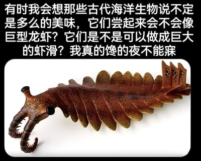 图片上方为一段趣味文字，内容是作者深夜突发奇想，好奇古代海洋生物的味道，猜测它们是否像巨型龙虾，甚至能否做成巨大的虾滑，表达了因这种想法而馋到睡不着的有趣心情。图片下方是一个古代海洋生物（疑似奇虾）的模型特写，该生物身体呈棕褐色，带有深色斑点，拥有多节分节的身体和类似爪子的前端附肢，整体造型奇特。