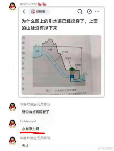 这是一张QQ聊天界面的截图，核心内容来自百度贴吧“弱智吧”的帖子：楼主发布了一张水电站工作原理图，提问“为什么图上的引水道已经挖穿了，上面的山脉没有掉下来”，错误地将示意性的原理图理解为真实挖空山体。后续聊天回复中，用户“Goldeengrit”给出了“水有浮力啊”的离谱解释，被另一用户调侃为“天才”，整个对话充满无厘头的荒诞感，是典型的弱智吧式搞笑问答，利用对科学示意图的误解和离谱回答制造笑点。
