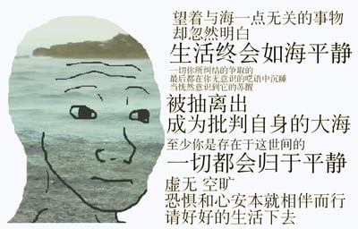 这是一张创意合成的静态图文混排作品，左侧以人头轮廓为视觉框架，内部填充了带有岸滩的海面实景，同时在实景上用简洁的黑色线条勾勒出一张神情平静、略带茫然的人脸，将人的精神状态与海面的意象巧妙结合，形成“人面如海面”的视觉隐喻；右侧是一段原创的生活感悟文字，文字以海为核心意象，先是描述在与海无关的日常里忽然领悟到生活终会如海般归于平静，纠结的执念会在时光中沉淀，接着剖析内心的虚无、空旷等情绪，指出恐惧与心安本就相伴相随，最后以“请好好的生活下去”的劝慰收尾，整体内容围绕接纳自身情绪、平和面对生活展开，旨在给处于情绪内耗或低谷的人提供心理慰藉与情绪疏导。