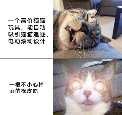 这是一张上下分栏的静态对比梗图，上半部分展示了一只侧躺在软垫上的猫咪，它表情慵懒无神，张嘴吐舌，对介绍中带有电动滚动设计的高价猫猫玩具毫无兴趣；下半部分是另一只眼睛发光、表情极度亢奋的猫咪，配文是一根不小心掉落的橡皮筋。图片通过强烈的表情和内容反差，生动调侃了猫咪对昂贵宠物玩具兴致缺缺，却对随手掉落的普通小物件极度痴迷的真实习性，充满搞笑趣味，精准戳中宠物爱好者的共鸣点。