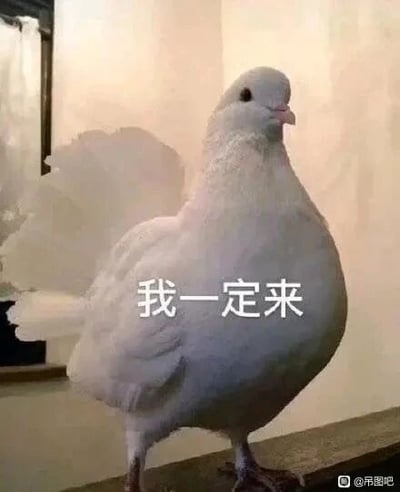 暂无描述