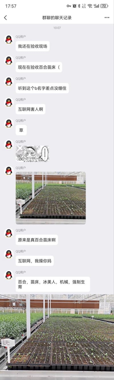 这是一段QQ群聊记录截图，用户在农业项目验收现场，听到‘百合苗床’这个名称时，因为联想到互联网上和‘百合’相关的低俗梗，当场吐槽互联网害人，还发出了二次元心动表情包；随后用户实拍了现场的百合苗床照片，发现是真实培育百合种苗的苗床，瞬间更加崩溃，疯狂吐槽互联网，还列出了一串被网络梗影响联想到的关键词，形成了因网络梗产生误解的反差笑点。
**双关/梗说明**：用户将农业领域的‘百合苗床’（培育百合种苗的苗床），误联想到网络上以‘百合’指代女同性恋的相关低俗梗，产生了预期与现实的反差，引发搞笑效果。