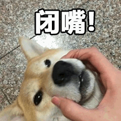 被捏住鼻子的柴犬配文闭嘴表情包