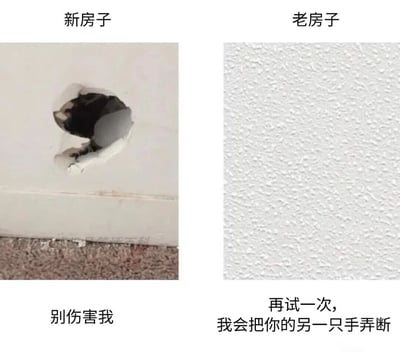 这是一张左右对比的幽默梗图，通过猫咪对墙壁的不同反应来调侃新房子和老房子的区别。左边"新房子"的图片中，一只黑猫从墙上的破洞里小心翼翼地探出头来，下方配文"别伤害我"，表现出对新房子的谨慎和胆怯。右边"老房子"的图片中，只有一面完好无损的粗糙墙壁，下方配文"再试一次，我会把你的另一只手弄断"，暗示老房子的猫咪已经非常熟悉环境，甚至变得凶悍。这种强烈的反差产生了幽默效果，反映了人们对新旧环境的不同适应状态。