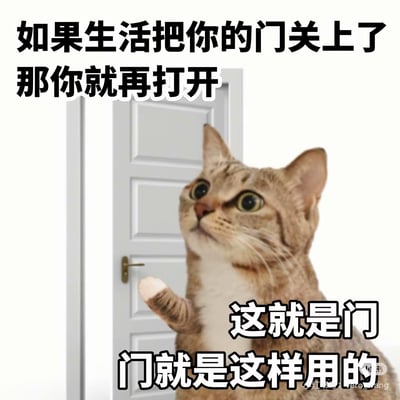 一只猫表情认真，正举爪开门，配以反鸡汤句式，“门就是用来开的”既幽默又调侃，为生活遇到困难者带来轻松一刻。