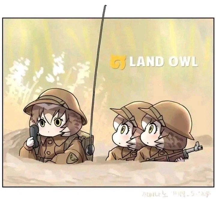 LAND OWL原创角色
