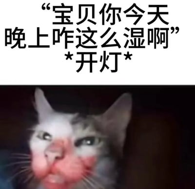 这是一张采用顶部配文加底部图片结构的表情包，顶部先出现带有暧昧歧义的文字“宝贝你今天晚上咋这么湿啊”，随后标注“*开灯*”，底部是一只面部沾染大量红色痕迹、眼神错愕的猫咪的照片，结合标题“吃福？”，利用“蝠”与“福”的谐音，暗示猫咪偷吃了蝙蝠，实现了反差搞笑的效果，消解了开头文字的暧昧暗示。
