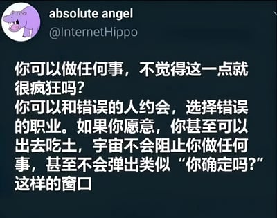 这是一张社交媒体截图，背景为深色。左上角有一个紫色河马的卡通头像，旁边显示用户名“absolute angel”和账号“@InternetHippo”。主内容为白色文字，以幽默的口吻探讨人生自由：“你可以做任何事，不觉得这一点就很疯狂吗？你可以和错误的人约会，选择错误的职业。如果你愿意，你甚至可以出去吃土，宇宙不会阻止你做任何事，甚至不会弹出类似‘你确定吗？’这样的窗口”。通过将生活中的选择与软件操作中常见的确认窗口进行类比，用轻松诙谐的方式表达对人生自由度的感慨。
