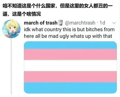 图片展示了一张包含严重冒犯性内容的Twitter截图。截图上方有中文翻译文字：“咱不知道这是个什么国家，但是这里的女人都丑的一逼，这是个啥情况”。下方是原始推文，来自用户“march of trash”（@marchtrash），发布于1天前，内容为：“idk what country this is but bitches from here all be mad ugly whats up with that”（我不知道这是哪个国家，但这里的女人们都非常丑，这是怎么回事）。推文下方配有一个蓝、粉、白三色的跨性别骄傲旗帜图案。

图片内容存在严重的性别歧视和冒犯性语言，对特定群体进行恶意攻击，违反基本的尊重和包容原则。