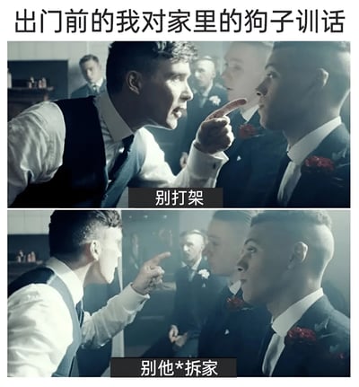 该梗图为上下两格拼接的竖版图文混排内容，上方文字标题为“出门前的我对家里的狗子训话”。图中使用《浴血黑帮》电视剧的剧照，上格中一名穿西装的男子（托马斯·谢尔比）表情愤怒，手指着前方人物训斥，下方字幕为“别打架”；下格为类似场景，男子继续训斥，字幕变为“别他*拆家”。通过将黑帮电影中紧张严肃的训话场景，幽默地类比为宠物主人出门前对狗狗的叮嘱，形成强烈的反差萌笑点。