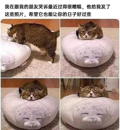暂无描述