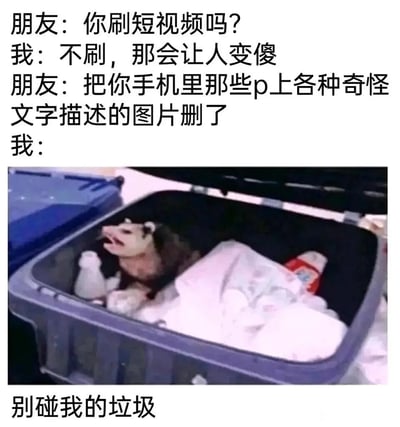 这是一张图文结合的搞笑梗图，通过对话与配图的反差制造笑点。上方对话里，“我”嘴硬表示不刷短视频，称刷短视频会让人变傻，当朋友提出让“我”删掉手机里那些带奇怪文字的表情包图片时，下方配图是一只缩在行李箱里、露出抗拒神情的哈士奇，搭配配文“别碰我的垃圾”，生动表现出“我”嘴上嫌弃自己的表情包是垃圾，实则拼命护着的反差心态，精准戳中很多人嘴上嫌弃自己的收藏，实则视若珍宝的日常状态。