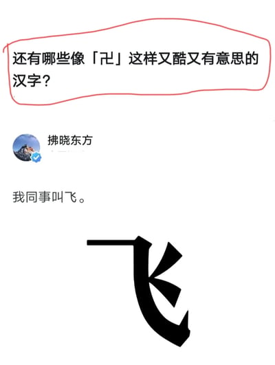 这是一则社交平台上的趣味问答类图文内容，顶部提出了“还有哪些像「卍」这样又酷又有意思的汉字？”的问题，用户“拂晓东方”以回复的形式，用同事的名字“飞”来回应，并搭配了一个经过艺术化设计的“飞”字。这个设计后的“飞”字笔画极具动感，造型仿佛正在飞翔，既完美契合“飞”的汉字含义，又精准满足了问题中“又酷又有意思”的要求，将生活化的例子和汉字的创意视觉设计结合，给出了一个巧妙又充满趣味的答案，充分体现了汉字的趣味性与视觉可塑性。