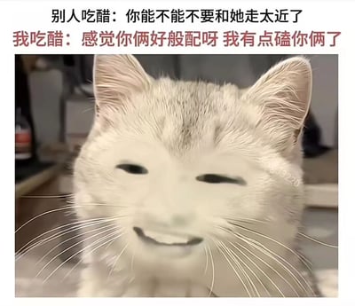 图片上方为两行对比文字，左侧黑色字体写着“别人吃醋：你能不能不要和她走太近了”，右侧红色字体写着“我吃醋：感觉你俩好般配呀 我有点磕你俩了”，形成对不同吃醋方式的幽默对比。下方是一张白色猫咪的特写照片，猫咪脸部被P上人类的似笑非笑表情，左眼眯起呈 wink 状，嘴角上扬，神态调侃，与文字内容的反差感增强了搞笑效果。