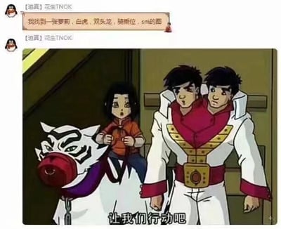 这是一张QQ聊天记录截图，展示了用户"花生TNOK"分享的一张包含多种元素的动画梗图。图片中有三个主要角色：一个骑在白虎背上的小女孩（萝莉），一只戴着红色口套的白虎，以及一个穿着白色和红色服装的双头人（双头龙）。画面下方有字幕"让我们行动吧"。聊天消息中提到了"萝莉、白虎、双头龙、骑乘位、sm"等关键词，与图片内容相对应。