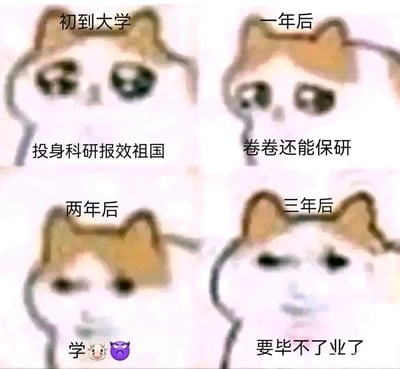 这是一张由网络知名mur猫表情包改编的四格拼接静态图，通过加注文字和调整猫的表情，生动展现了一名大学生从入学到毕业前的心态演变：初入大学时满怀壮志，立志投身科研报效祖国；入学一年后，目标转变为通过“内卷”争取保研资格；入学两年后，长期的学业压力让其陷入烦躁痛苦的状态，用“学🐮😈”的文字表达对学业的崩溃情绪；入学三年后，更是陷入“要毕不了业了”的焦虑恐慌。整张图用夸张魔性的表情变化，精准且搞笑地还原了不少当代大学生在校园生活中心态从憧憬到崩溃的真实落差，引发大学生群体的强烈共鸣。