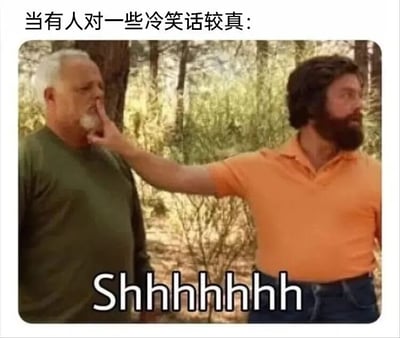 图片展示了一个森林场景，一位穿橙色衣服的男子正用手指捂住另一位穿绿色衣服男子的嘴，做出'安静'的手势。图片上方配有文字'当有人对一些冷笑话较真:'，下方有'Shhhhhhh'的文字。整个图片通过这个动作幽默地表达了当有人对冷笑话过于认真时，其他人想要让他们安静下来的无奈又好笑的场景。