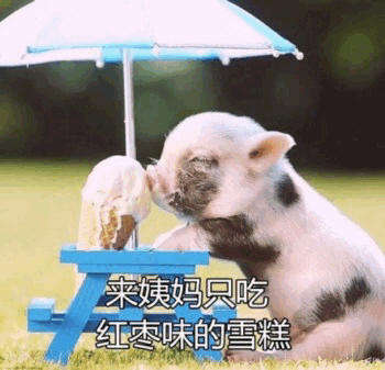 小猪来姨妈只认准红枣味雪糕