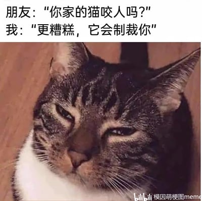 这是一张图文结合的搞笑宠物梗图，上方设置了一段趣味对话：朋友询问“我”家的猫是否咬人，“我”回答“更糟糕，它会制裁你”。下方搭配了一只狸花加白的猫咪，它眼神轻蔑，半眯着眼，表情拽酷，带着审视和不屑的神态，仿佛正用高冷的态度“制裁”着看它的人。用“制裁”这个词调侃猫咪的傲娇高冷性格，精准戳中养猫人对猫咪这种又拽又萌的性格的共鸣，制造出幽默的效果。