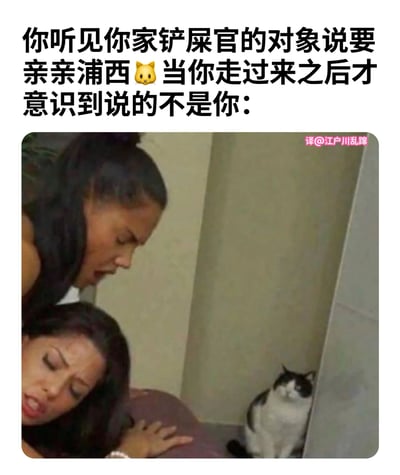 这张梗图展示了一只黑白相间的猫坐在角落，看着两个女性拥抱。上方文字描述了猫咪的内心活动：它听到铲屎官的对象说要"亲亲浦西"，以为是在说自己，结果走过来才发现她们是在互相亲吻，根本不是在说自己。图片通过猫咪的视角制造了一个有趣的误会笑点。