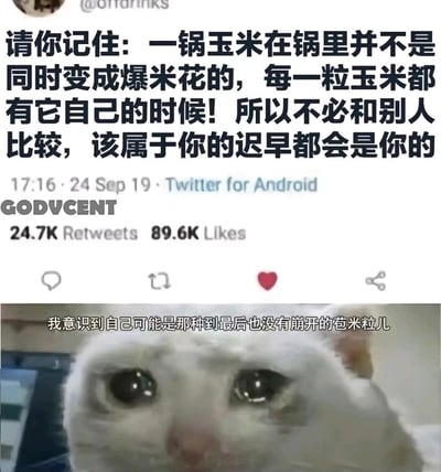 这是一张上下拼接的图文混排梗图，上半部分是2019年9月24日发布在Twitter的励志推文，内容以爆米花的生长节奏为喻，传递“不必和他人比较，每个个体都有自己的发展时机”的积极观念，推文显示有2.47万转发、8.96万点赞；下半部分是一张网络知名的悲伤白色猫咪表情包，猫咪双眼含泪，神情委屈悲伤，配文“我意识到自己可能是那种到最后也没有崩开的苞米粒儿”，通过将励志内容与自嘲式的消极情绪结合，形成强烈反差，精准戳中了在同辈压力下，觉得自己努力却没有得到预期结果、落后于他人的群体的内心，引发强烈共鸣。