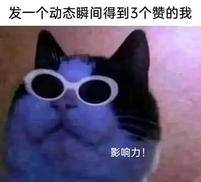 这是一张搞笑自嘲类的表情包，创作者将普通猫咪的照片进行P图改编，给猫咪添加了健硕的肌肉特效，还配上了一副白色圆形墨镜，让猫咪看起来一副“大佬”姿态。图片顶部配文“发一个动态瞬间得到3个赞的我”，猫咪下方配文“影响力！”，以夸张反差的方式调侃自己在社交平台发布动态后，仅仅获得3个赞就自我感觉拥有“强大影响力”的小得意心态，精准贴合普通人在社交平台的日常小情绪，用幽默的方式消解社交中的微小失落，制造出搞笑的效果。