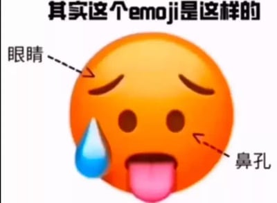 这张图片展示了一个黄色的emoji表情，它有着向下弯曲的眉毛，眼睛部位被标注为'眼睛'，两个圆形的鼻孔被标注为'鼻孔'，表情下方有一滴汗水，并且伸出舌头。图片上方有文字'其实这个emoji是这样的'，通过幽默的方式对emoji表情进行了解释。