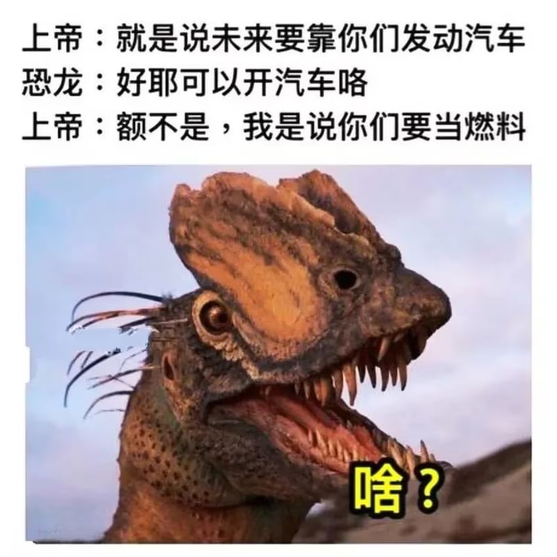 网络通用梗图
