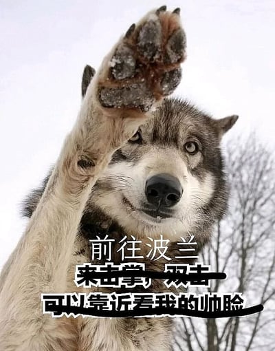 暂无描述