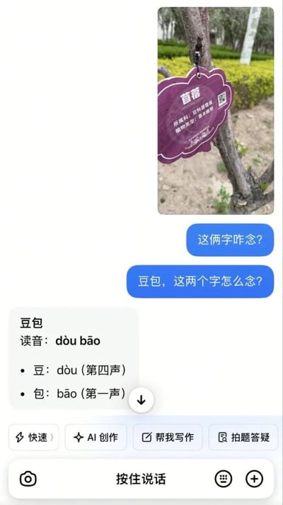 这是一张聊天界面截图，上方是用户拍摄的挂在树木上的紫色植物标识牌，牌上标注有植物名称“苜蓿”及对应的科属、类型信息，用户先后发送两条消息，本意是询问标识牌上“苜蓿”二字的读音，但AI豆包误解了用户的提问，误以为是问“豆包”二字的读音，给出了“豆包”的拼音标注及声调说明，形成了因语义误解产生的搞笑效果。