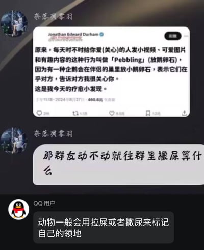 这是一段QQ平台的聊天记录截图，内容分为三部分：首先用户「奈落凋零羽」分享了一个疗愈小知识——给关心的人分享小视频、可爱图片这类行为被称为「Pebbling（放鹅卵石）」，灵感来源于企鹅会向伴侣的巢中放置小鹅卵石来表达在乎与关心；紧接着该用户抛出趣味提问：「那群友动不动就往群里搬屎算什么」；最后另一位「QQ用户」给出神回复：「动物一般会用拉屎或者撒尿来标记自己的领地」，用动物行为类比群友发屎图的举动，形成温馨概念与搞笑行为的强烈反差，制造出幽默搞笑的效果。