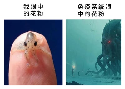 这是一张通过左右分图形成强烈反差的网络梗图，用来趣味化解读花粉过敏的生理反应。左侧标注“我眼中的花粉”，配图是一只趴在人类指尖上的迷你幼年章鱼，它体型微小，外形软萌可爱，以此类比人类视角里花粉的渺小、无害；右侧标注“免疫系统眼中的花粉”，配图是克苏鲁风格的巨型恐怖触手怪物，怪物身躯庞大、外形狰狞，画面里还有一个手持光源的渺小人类面对它，充满强烈的压迫感，以此类比花粉过敏时，免疫系统将花粉视为极具威胁的“巨型入侵者”。通过这种视觉反差，幽默调侃花粉过敏人群体内免疫系统的“过度反应”，生动表现出过敏不适的内在原因的趣味化解读，容易引发过敏人群的共鸣。