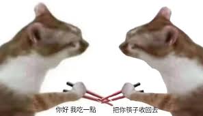这张图是“你好我吃一点”系列表情包的变体，画面中两只猫咪对称地举着筷子相对而立，左边的猫咪配文“你好 我吃一点”，右边的猫咪则回复“把你筷子收回去”。整体带有明显的网络玩梗风格，表达了索要和拒绝的互动情景，非常适合在评论区就美食内容进行搞笑互动。这种双猫对峙的设计还带点趣味性的仪式感，暗示了虚拟聚餐中的微妙心理攻防，视觉和情感冲突感十足。

没有明显的谐音梗或双关，主要突出互动与“对夺”感，属于典型的表情包连续剧片段。