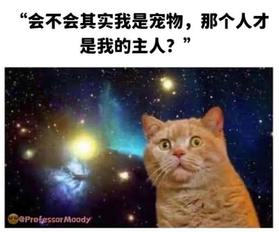 这是一张经过P图改编的搞笑梗图，背景选用了布满璀璨星云与亮星的深邃宇宙星空，营造出宏大又充满哲思的氛围；前景是一只橘色猫咪，它双眼圆睁，眼神中满是震惊与迷茫，抬头向上凝视，仿佛正在进行一场深刻的哲学思考。图片顶部配有文字“会不会其实我是宠物，那个人才是我的主人？”，以猫咪的视角抛出一个打破常规认知的反向疑问——通常人类默认自己是宠物的主人，而这句话则反过来质疑主宠关系，用荒诞又诙谐的方式，戳中了许多养猫人在日常生活中感觉自己才是被猫咪“支配”的“铲屎官”的共鸣点，充满搞笑趣味。图片左下角带有“@ProfessorMoody”的水印标识，标注了创作者的账号。