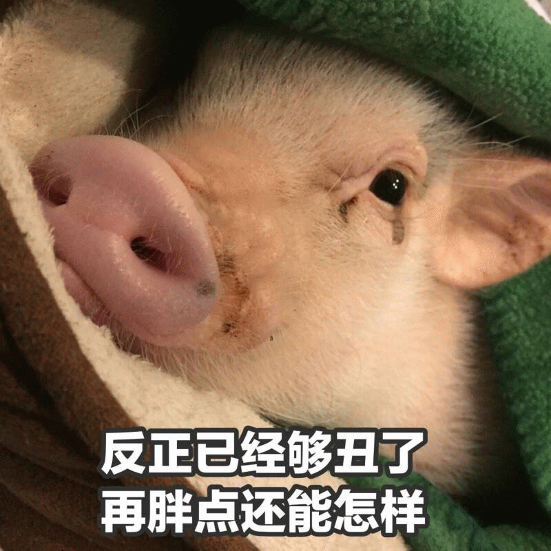 反正已经够丑了 再胖点还能怎样