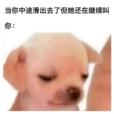 这是一张幽默梗图，上方文字描述了一个尴尬场景："当你中途滑出去了但她还在继续叫"，下方标注"你："并配上一张小狗的照片。小狗有着浅色毛发和困惑的表情，似乎正疑惑地看向一侧，完美诠释了人在尴尬处境中的反应。图片通过将人类情感与动物表情结合，创造出滑稽的对比效果。