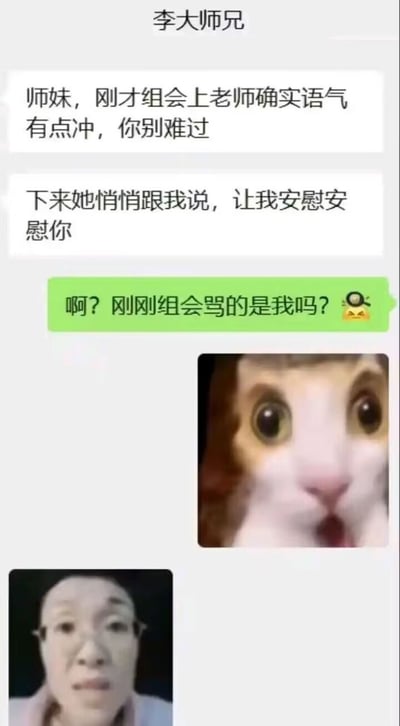 整张图是微信聊天界面截图，聊天对象备注为“李大师兄”，师兄先给师妹发消息，称刚刚组会上导师语气比较冲，特意叮嘱自己来安慰师妹；师妹看到消息后十分惊讶，反问“刚刚组会骂的是我吗？”，还附带了一张瞪圆眼睛、满脸震惊的猫咪表情包；随后师兄发出一张男性面露错愕、一脸无语的表情包作为回应。内容笑点在于师妹全程没有意识到自己在组会上被导师批评，后知后觉的反应极具反差感，非常贴合高校研究生课题组的日常生态，容易引发学生群体的共鸣。