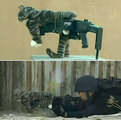 这是一张上下拼接的幽默梗图，上半部分显示一只虎斑猫站立持枪的滑稽画面，下半部分则是一名特种兵趴在地上瞄准，而这只猫神奇地出现在了他的枪械上。图片通过将可爱的猫咪与严肃的军事元素结合，创造出强烈的反差萌和喜剧效果。