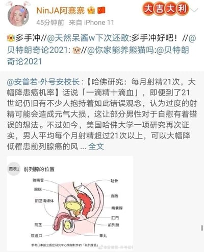 这是一张来自微博平台的竖屏社交媒体截图，展示了一条多层转发的微博内容。最上层是用户“NinJA阿寨寨”通过iPhone 11发布的转发微博，配文“多手冲”，该内容经过“天然果酱w”“贝特朗奇论2021”“你家能养熊猫吗”的多层转发后到达该用户。核心内容是用户“安普若-外号安校长”发布的医学科普内容，称哈佛大学研究显示男性每月射精超过21次可大幅降低罹患前列腺癌的风险，同时纠正了“一滴精十滴血”的错误观念。内容还附带了一张参考日本国立癌症研究中心情报制作的男性生殖系统解剖图，清晰标注了前列腺及周边的膀胱、直肠、睾丸、输精管等多个部位的位置，帮助读者理解前列腺的位置。整个截图呈现了微博用户对该健康科普内容的互动转发情况。